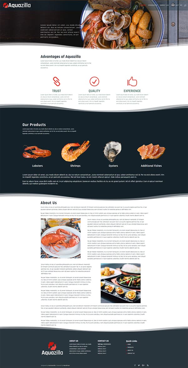 Aquazilla homepage design